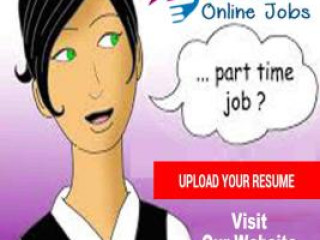 Guaranteed Income Data Entry with Bonus Free Jobs Pack Full Time / Part Time Home Based Data Entry J