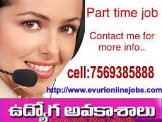 Guaranteed Income Data Entry with Bonus Free Jobs Pack Full Time / Part Time Home Based Data Entry J