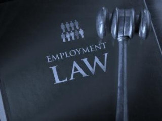 Employment Lawyer Auckland