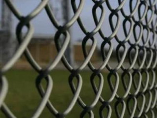 Buy Top Quality Wire Mesh in India