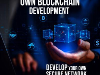 Own Blockchain Development Company