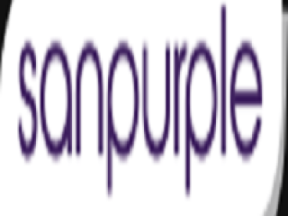 Digital Marketing Company in Pune-Sanpurple 