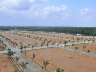 Real Estate Ventures in Padakal