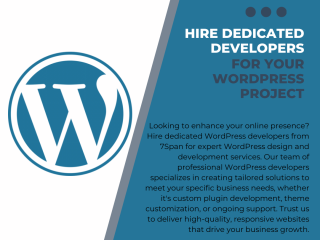 Hire Dedicated Developers for Your WordPress Project