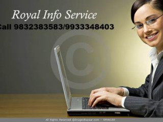 Royal Info Service Offered