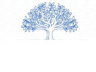 Construction Workers Comp Georgia - Faraon Insurances