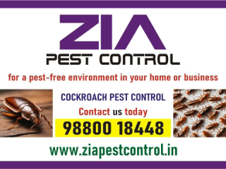 Bedbug pest control for Paying Guest | Restaurant | Lodge|  | 1851