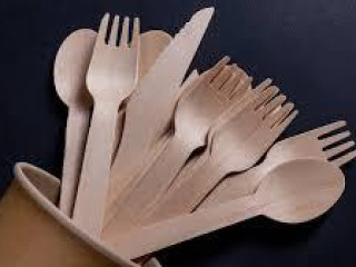 Disposable Cutlery