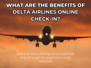 Why Choose Delta Airlines Online Check-In?