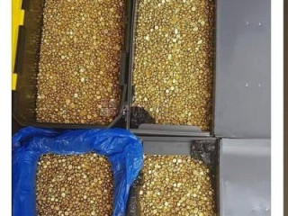 Premium Gold Bars and Nuggets for Sale at Competitive Prices  +256701323286