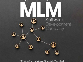 Cryptocurrency MLM software development company