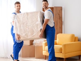 Expect House Removalists in Auckland