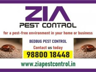 Zia Pest control | Bedbug Treatment | Rodent | 1981 Bedbugs service