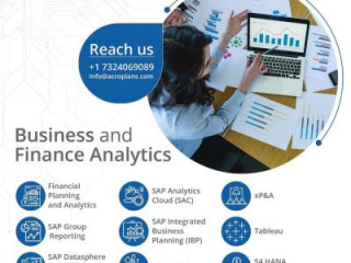 Business and Financial Analytics for Strategic Growth