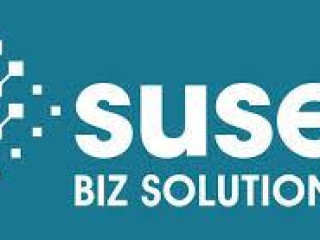 Susee BIZ Solution : Digital Marketing Company in CT