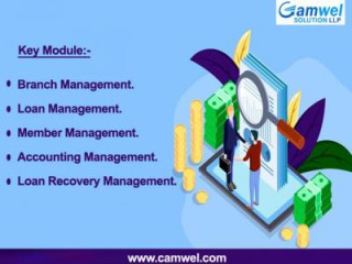 Best Banking Microfinance software Company | Camwel Solution LLP