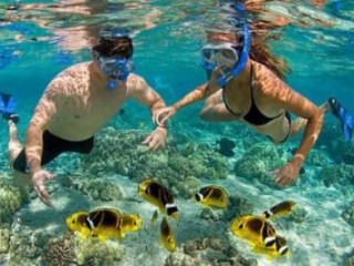 Snorkeling tours Dominican Republic | Adrenalinetours.net