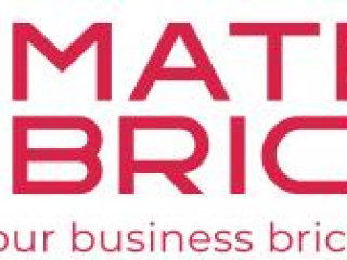 Matrix Bricks: The Best Enterprise SEO Company Transforming Digital Landscapes 