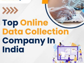 Best Online Data Collection Services In India