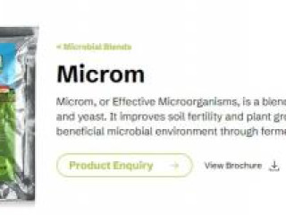 Get 'Microm' Today: Premium Soil Health at Wholesale Prices!