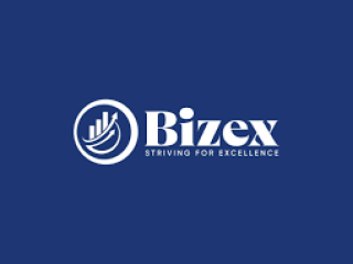 Bizex Business Setup LLC