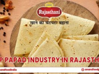 Top Papad Industry Manufacturers &amp; Suppliers of Rajasthan: Anand Food Product