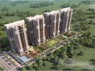 Live Luxury Life At Signature Global Sector 84 Gurgaon Homes