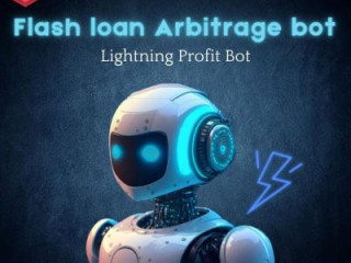 How Flash Loan Bots are 2x your business profitability?