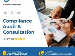 Audit And Consulting Services Delhi