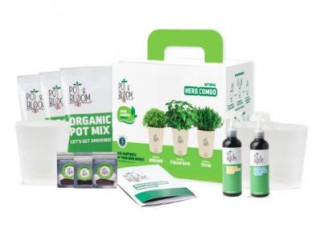 Grow Fresh Herbs at Home with Pot &amp; Bloom Herb Kits