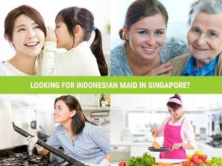 Looking for Indonesian Maid in Singapore