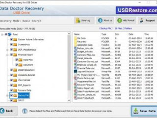 Pen Drive Data Recovery Software