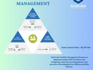 Safe and Streamlined Effective Lean Portfolio Management Techniques