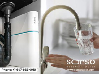 Ensure Your Health &amp; Safety with Sorso's Water Filter System