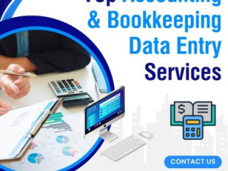 Best Accounting &amp; Bookkeeping Data Entry Services in India