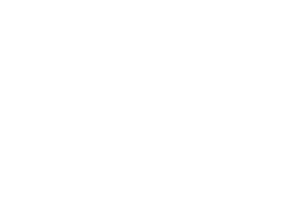 Ultrapro Blockchain - FutureForged Chain 