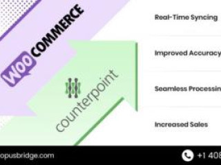  Counterpoint POS Integration with WooCommerce