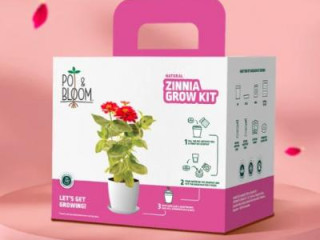 Shop Flower Kits Online | Easy &amp; Fun Home Gardening | Pot &amp; Bloom