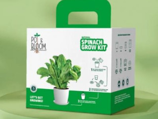 Vegetable Gardening Kits | Grow Fresh Veggies at Home - Pot &amp; Bloom