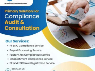 Expert Compliance Audit Consultants for Your Business