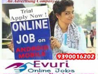 Guaranteed Income Data Entry with Bonus Free Jobs Pack Full Time / Part Time Home Based Data Entry