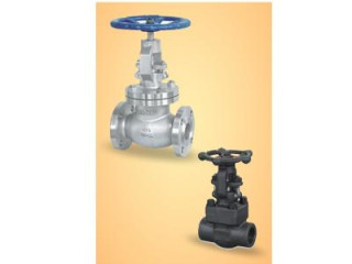 Globe Valve Manufacturer, Supplier &amp; Exporter