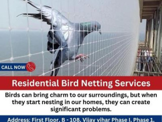 Residential Bird Netting Services: Protect Your Home with Satvik Bird Netting