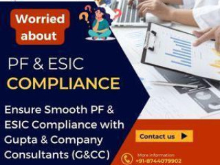 Easy PF &amp; ESIC Compliance with Gupta Consultants