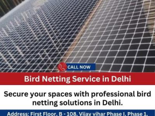 Bird Netting Service in Delhi