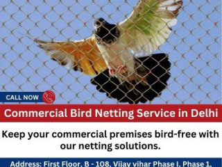 Commercial Bird Netting Service in Rohini