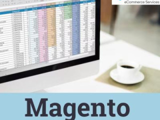 Optimize your Business with Magento Product Data Entry Services