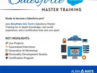 AlmaMate Info Tech - Best Salesforce Training in NOIDA