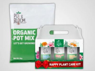 Pot &amp; Bloom Pot Mix: Premium Soil Mix for Healthy Plants