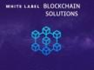 Excellent  White label blockchain solutions development - Block Sentinels